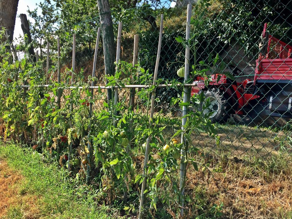 Willa Agriturismo Bicocchi Piteglio Zewnętrze zdjęcie