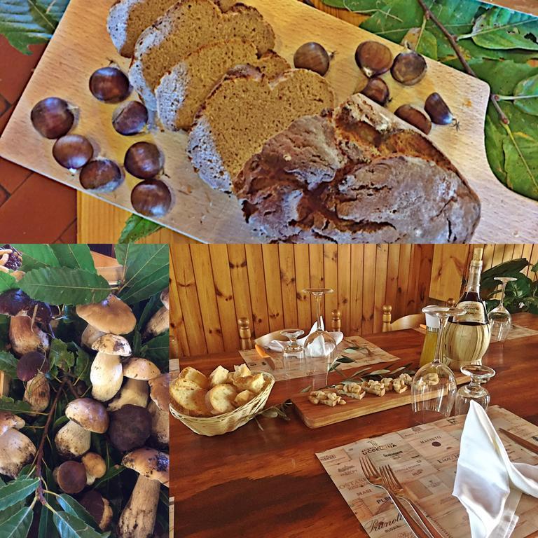 Willa Agriturismo Bicocchi Piteglio Zewnętrze zdjęcie